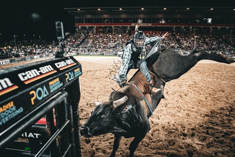 PBR-2025-stadium-grandstand_2.jpg