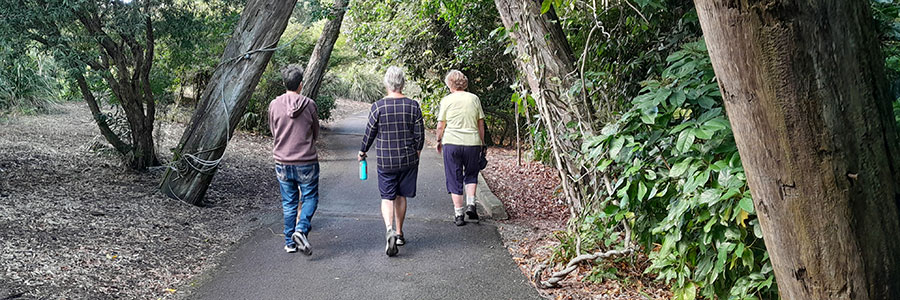 BG-Walk.jpg