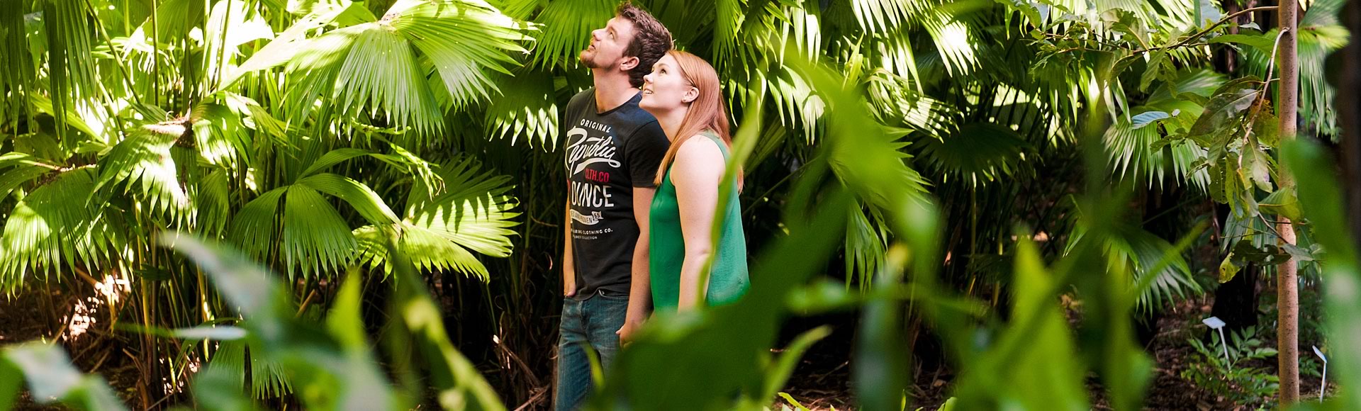 Couple in fernery