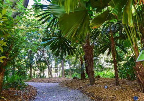 Tropical-Garden-2.jpg